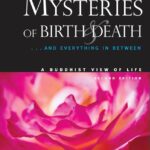 Unlocking the Mysteries of Mmsbre: A Complete Guide