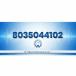 Who Called From 8035044102? A Complete Guide to Identifying This Number