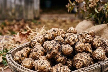 Sunchoke Guide: Benefits, Growing Tips, and Recipes