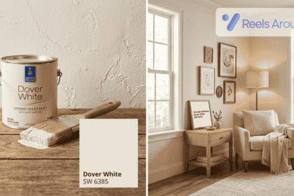 Sherwin Williams Dover White Paint